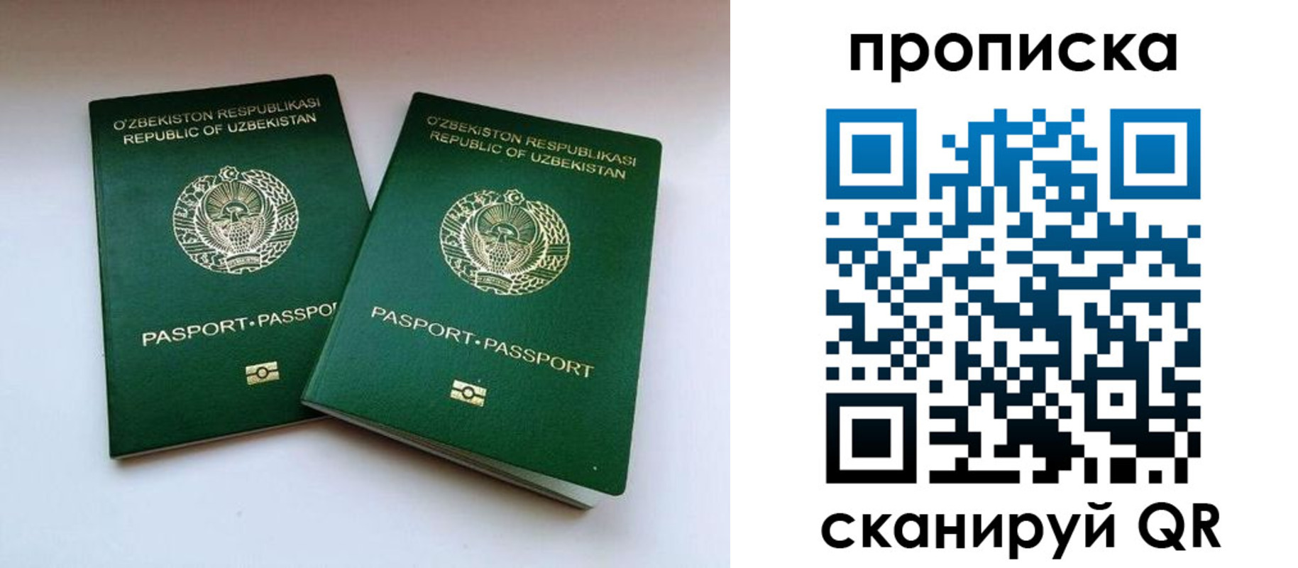 прописка поиск в Димитровграде